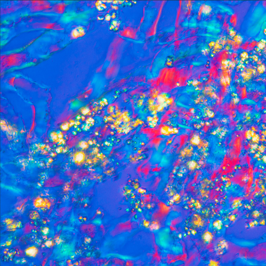 Abstract close-up of vivid blue, pink and gold crystalline patterns