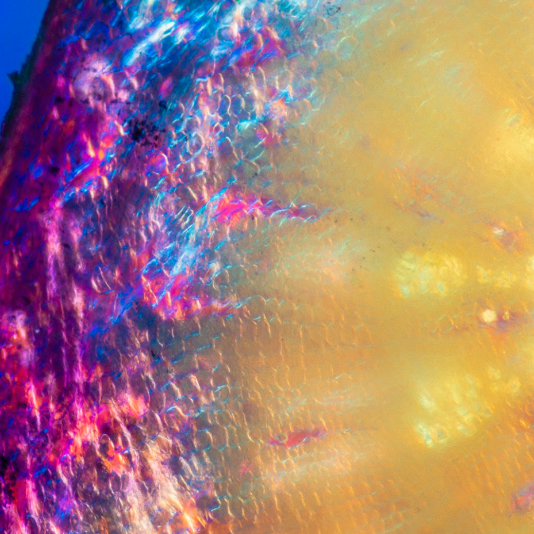 Abstract close-up of shimmering gold, pink and blue crystal textures