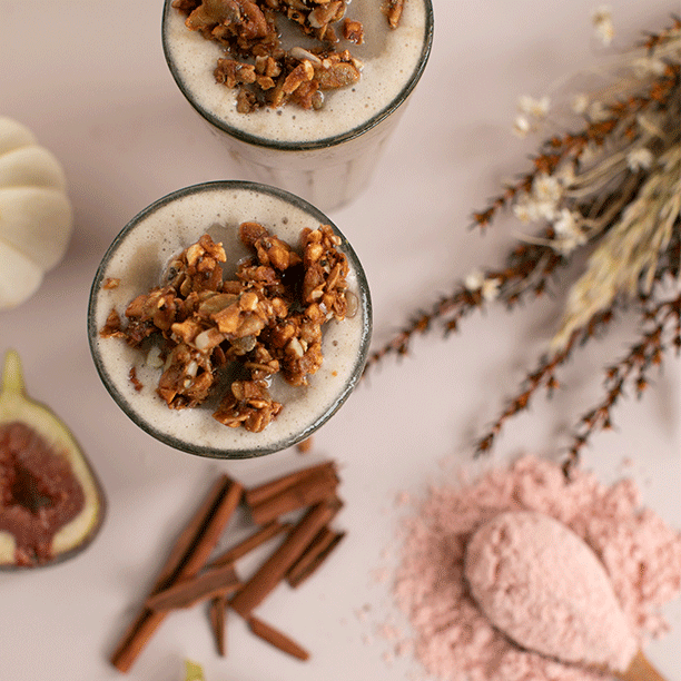 Probiotic Apple Cinnamon Smoothie