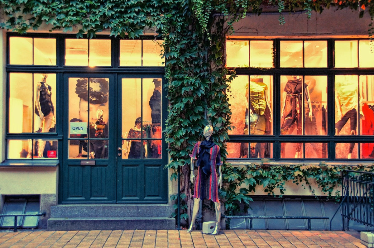 Ivy-covered shopfront with lit display windows