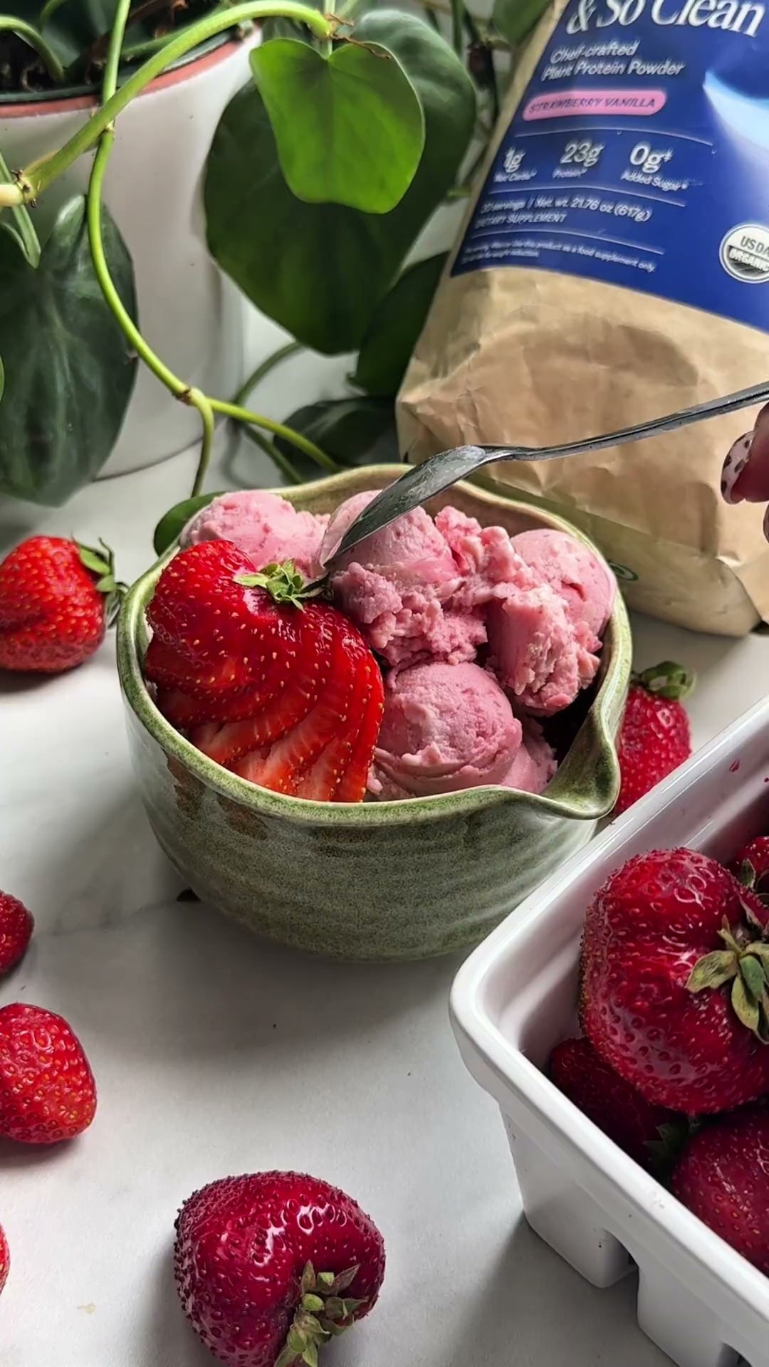 Vegan Strawberry Protein Ice Cream
