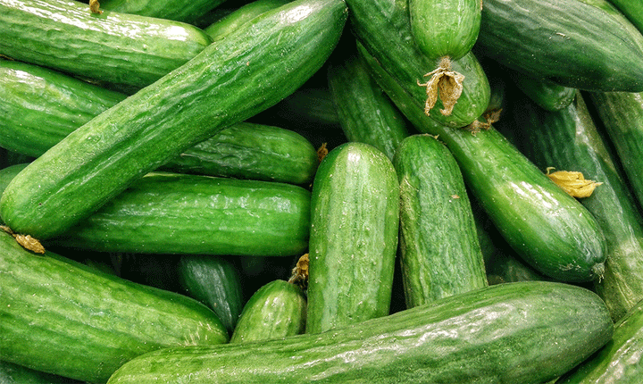 Cucumbers Help Relieve Bloating