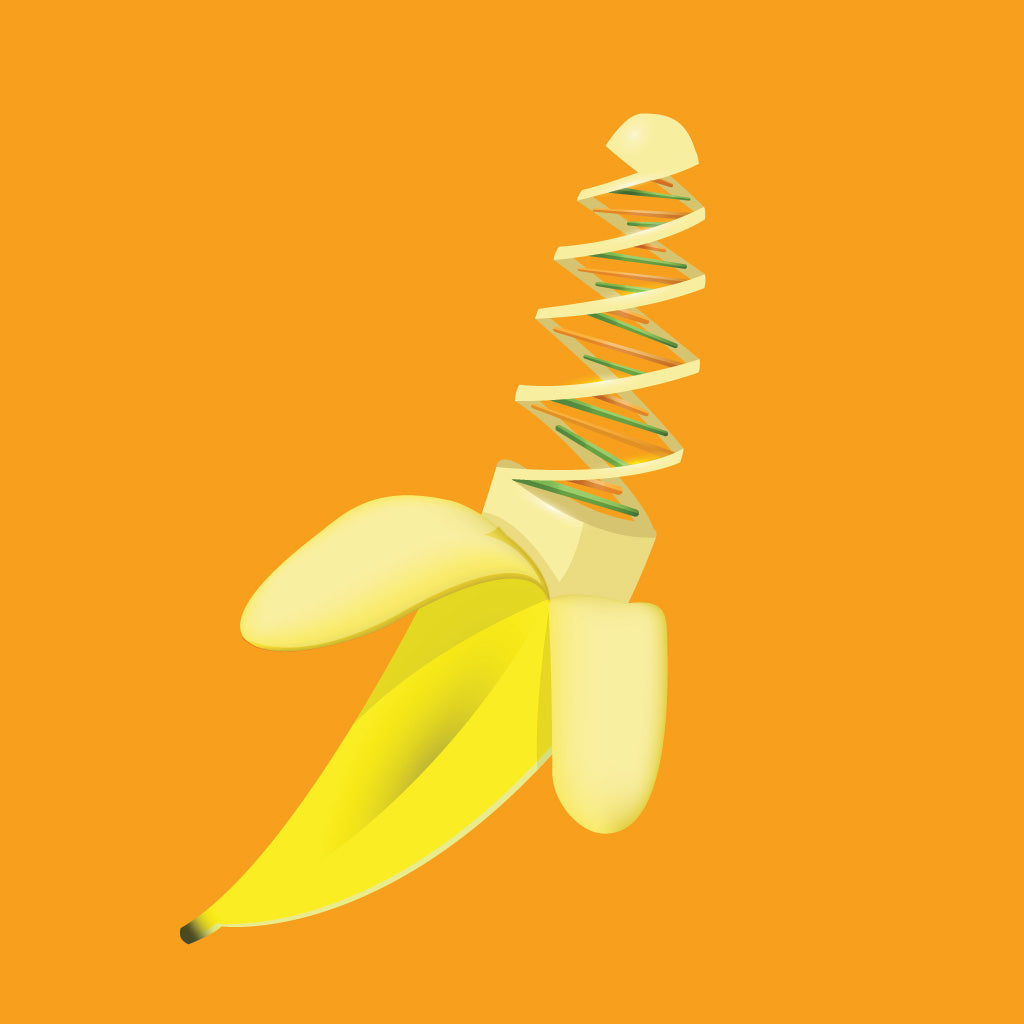 Illustration of a DNA double helix