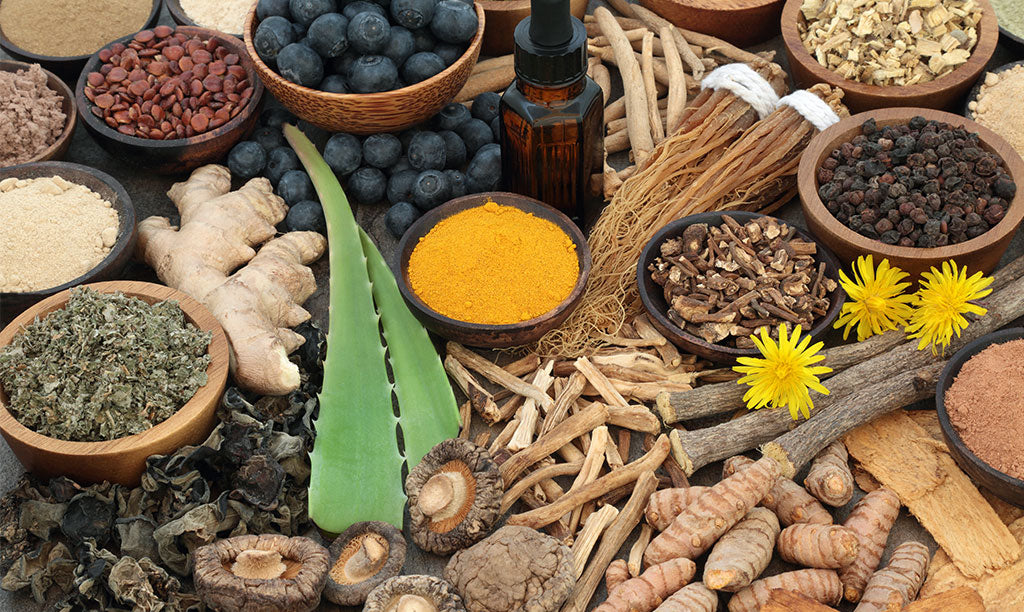 List of Adaptogenic Herbs