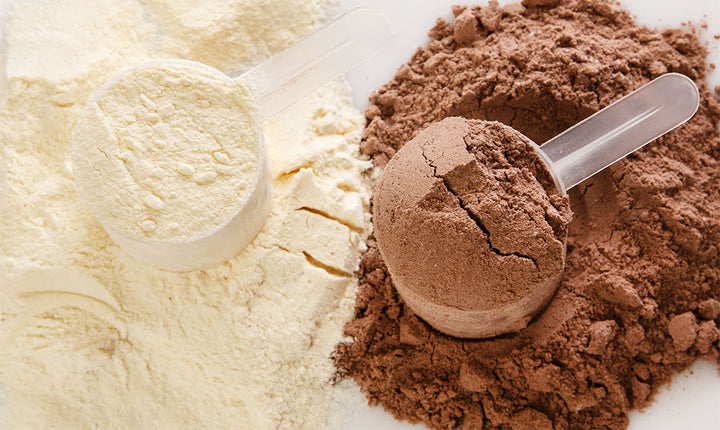 What is Whey Protein