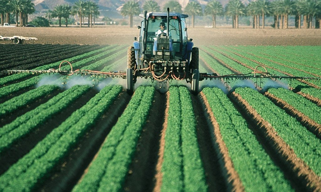 Why Eat Organic? What Legacy Chemicals Like PCBs Teach Us