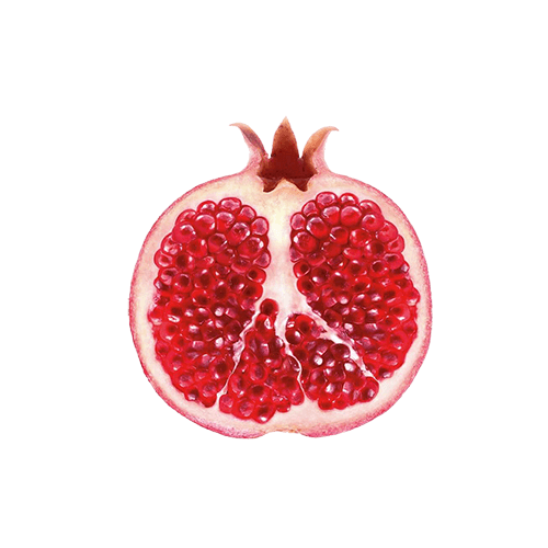 Organicproteinpowder Ingredients