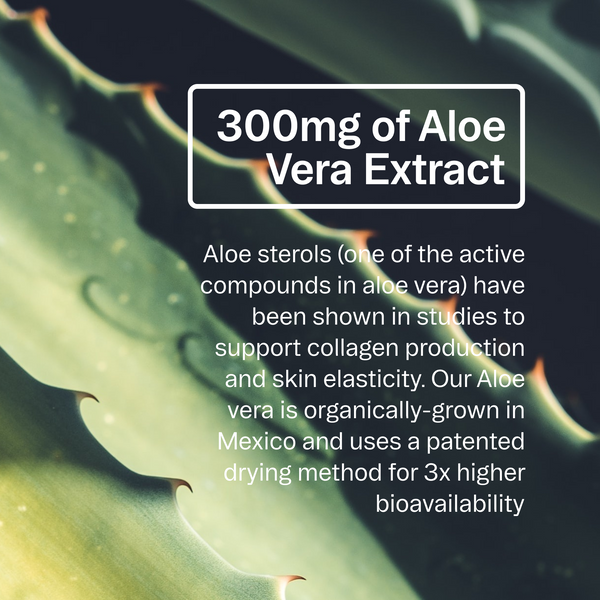Plant-based Collagen Booster