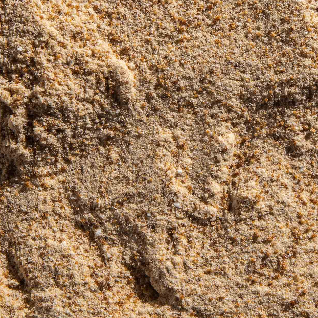 Plant-based Collagen-Boosting Powder