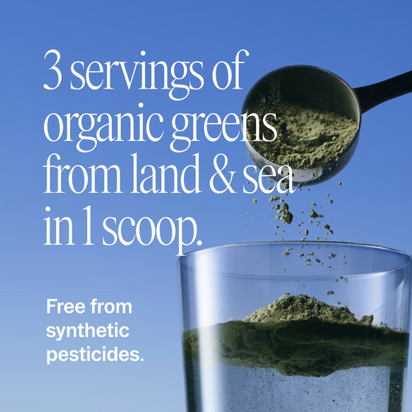 Easy Being Green Organic Superfood Greens Powder • Ora
