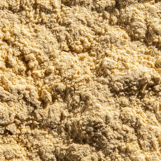 Plant Protein for Lifelong Strength
