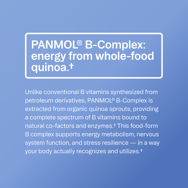 Modern Multivitamin