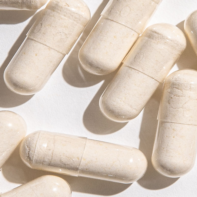 High Potency Probiotic