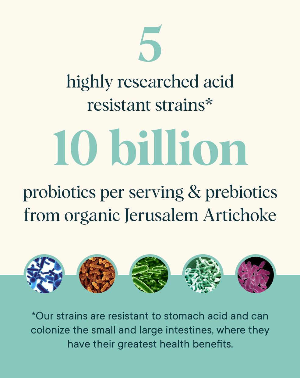 Pre + Probiotic Pixies For Adults