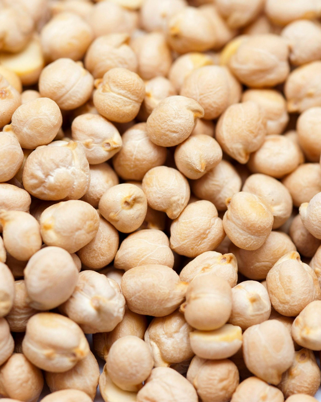 Vitamin K2 from Chickpeas