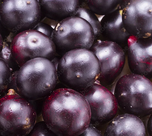 Organic Acai