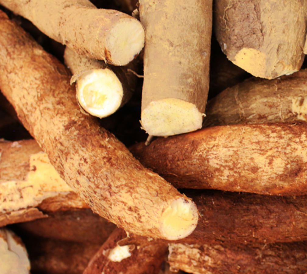 Organic Ashwagandha Root