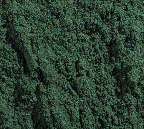 Organic Chlorella
