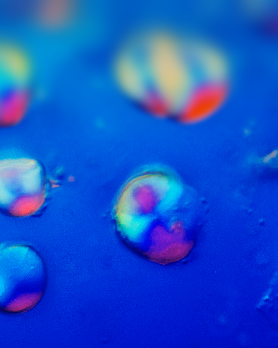 Organic Greens Powder