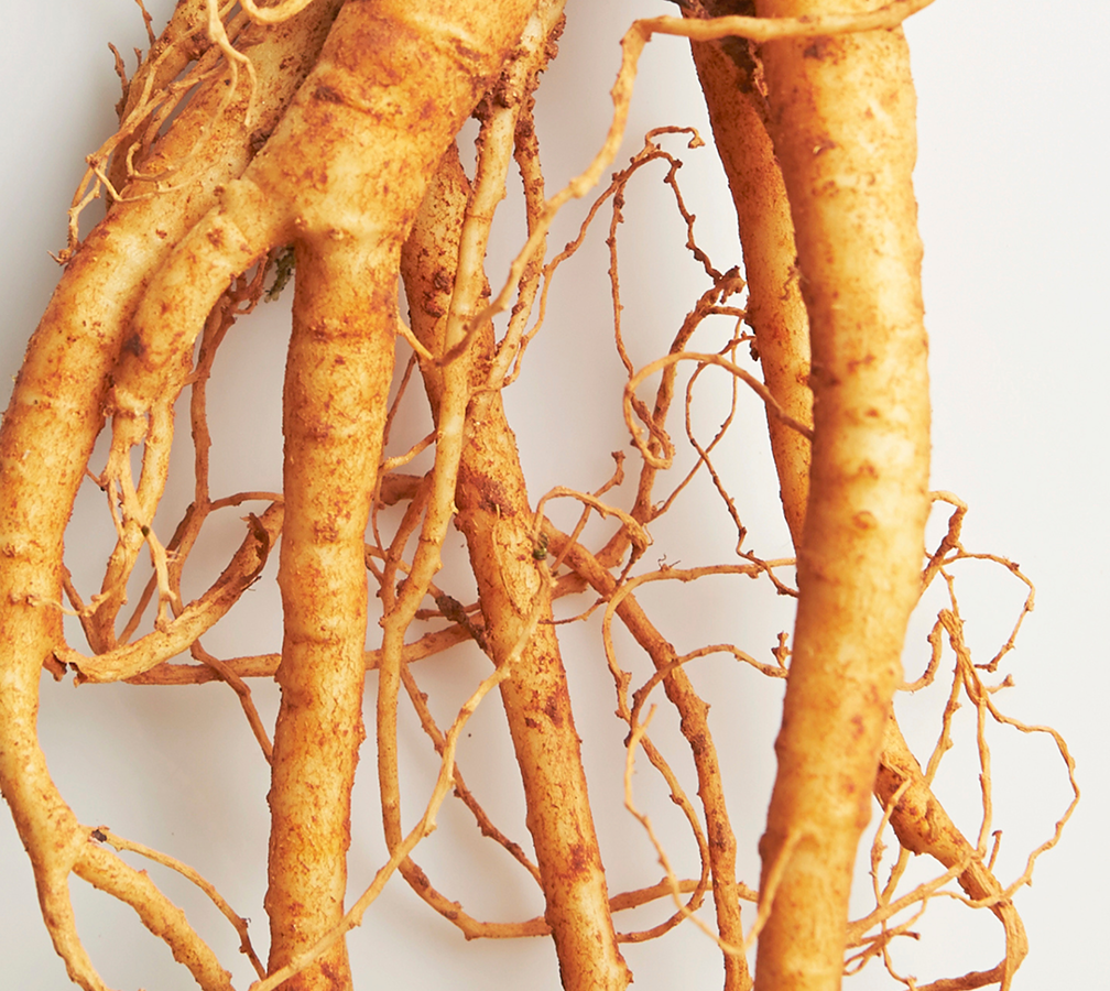Red Ginseng