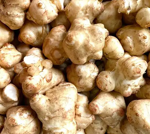 Organic Jerusalem Artichoke