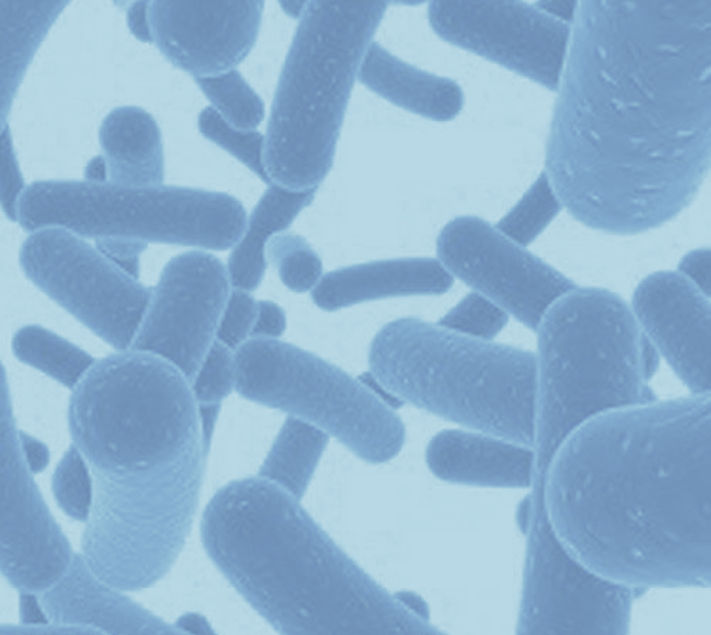 Lactobacillus casei LC89