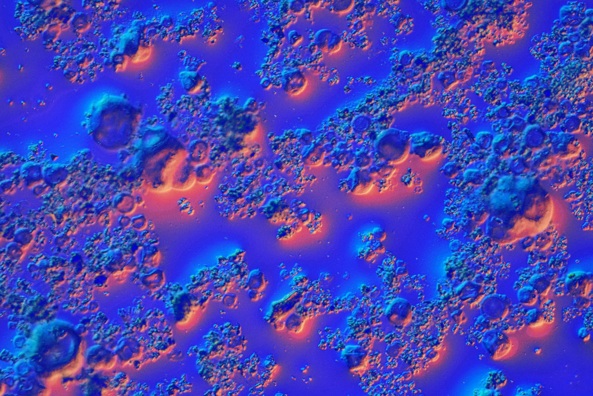 Plant protein under the microscope