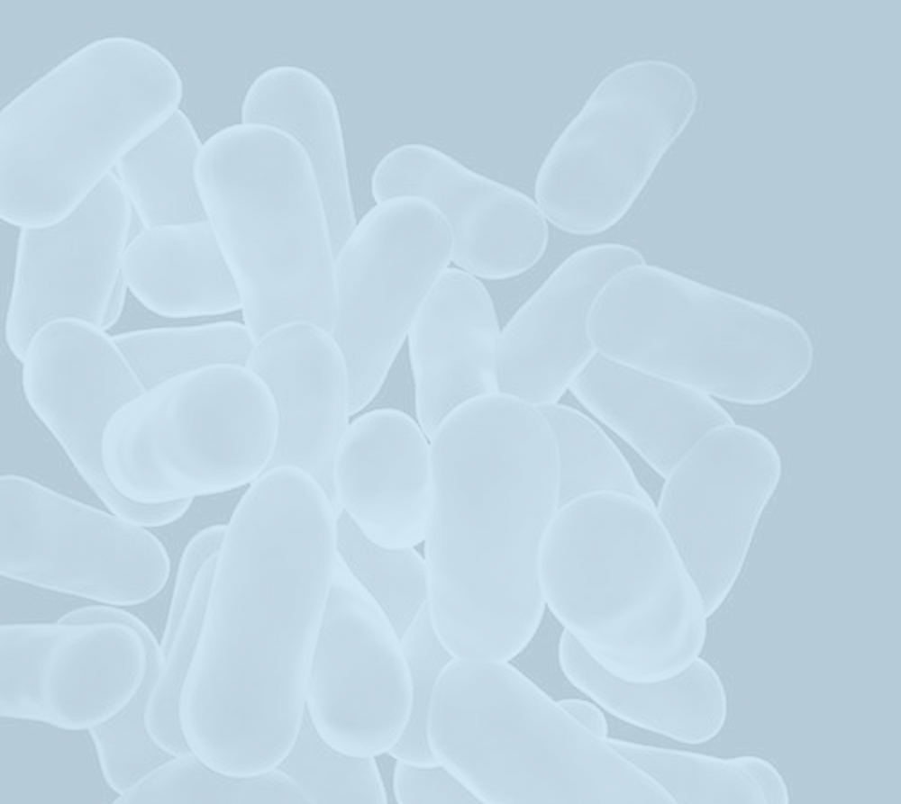Organic Vegan Probiotic Powder with Prebiotics | Trust Your Gut