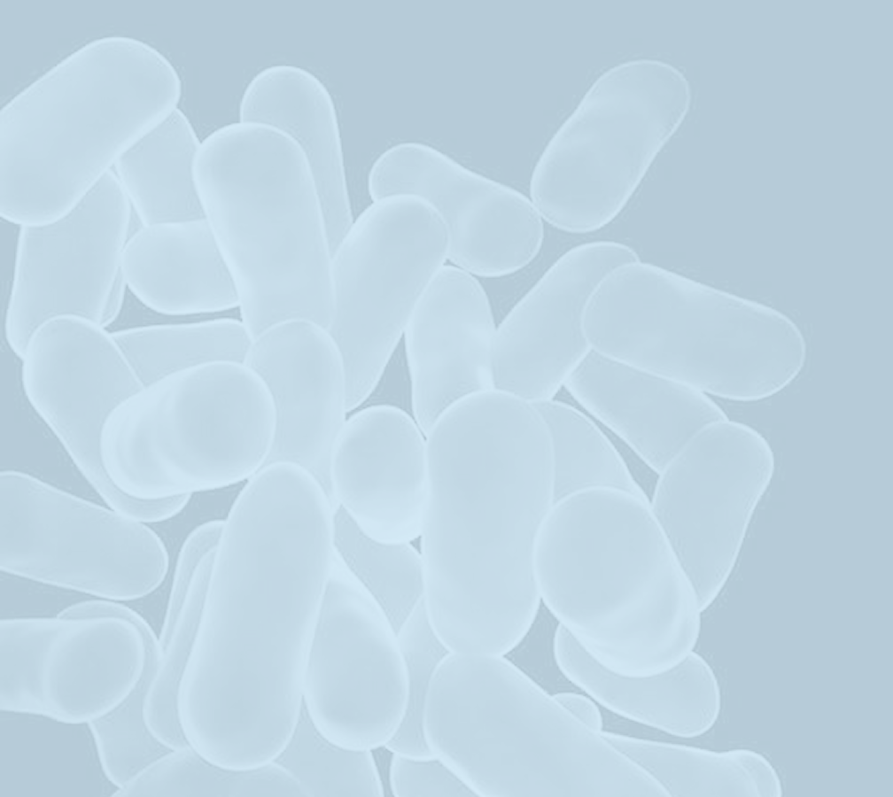 Lactobacillus acidophilus NCFM®
